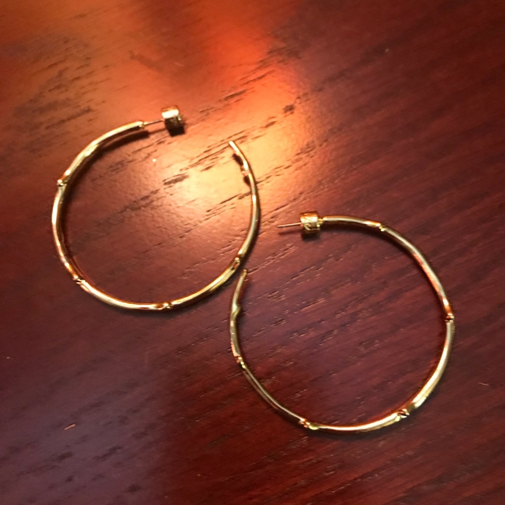 Chloe and Isabel gold bamboo hoops